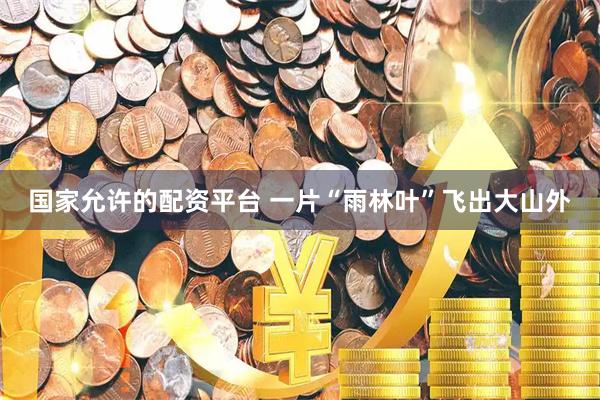 国家允许的配资平台 一片“雨林叶”飞出大山外