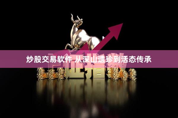 炒股交易软件 从深山遗珍到活态传承