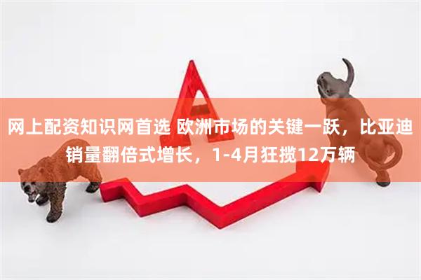 网上配资知识网首选 欧洲市场的关键一跃，比亚迪销量翻倍式增长，1-4月狂揽12万辆